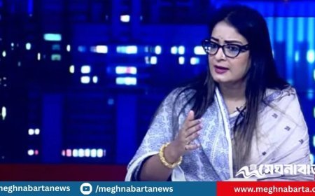 জনগণই নির্ধারণ করবে আগামী দিনে কারা রাষ্ট্র পরিচালনা করবে : নিপুণ রায়