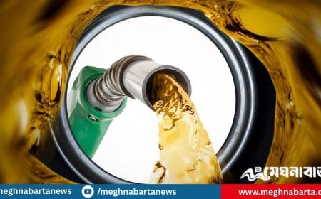 বাড়ল জ্বালানি তেলের দাম