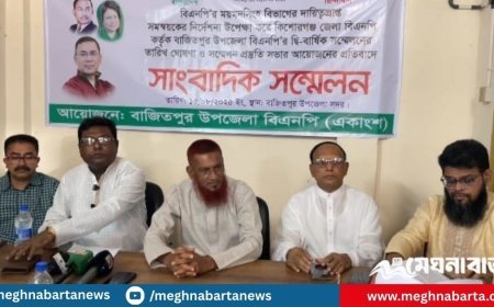 বাজিতপুরে কেন্দ্রীয় সিদ্ধান্ত উপেক্ষা করে দ্বি-বার্ষিক সম্মেলন এর প্রতিবাদে বিএনপির একাংশের সাংবাদিক সম্মেলন