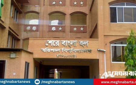 স্পিকার বাজানো নিয়ে বরিশাল বিশ্ববিদ্যালয়ে  বৈষম্যবিরোধী নেতা ও ছাত্রদল কর্মীর সংঘর্ষ