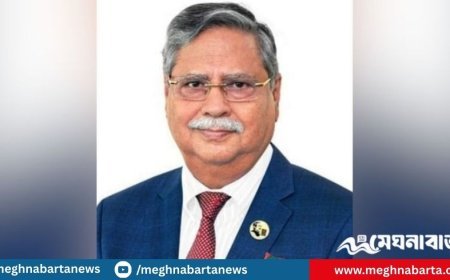 বিদেশে বাংলাদেশের সব কূটনৈতিক মিশন থেকে রাষ্ট্রপতির ছবি সরানোর নির্দেশ