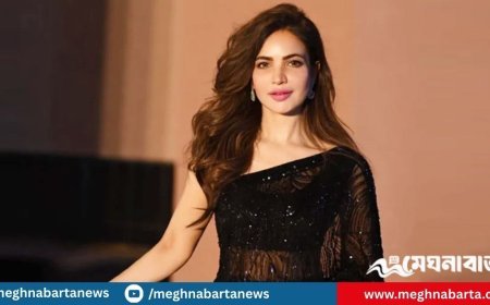 হত্যা করা হয়েছে হুমাইরা আসগরকে? মামলার নির্দেশ আদালতের