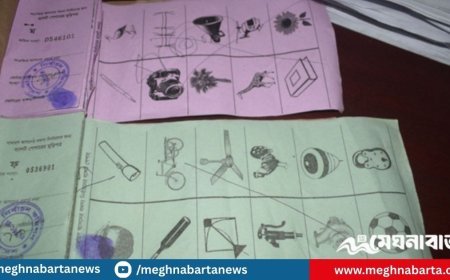 দলীয় প্রতীক থাকছে না স্থানীয় সরকার নির্বাচনে, অধ্যাদেশ জারি