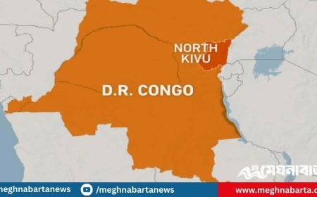 কঙ্গোতে ৫২ বেসামরিককে হত্যা করল বিদ্রোহীরা