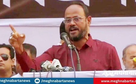 ফার্স্ট-সেকেন্ড ইয়ারের ছেলেরা সচিব-ডিসিদের পাশে বসে তদবিরে ব্যস্ত: টুকু