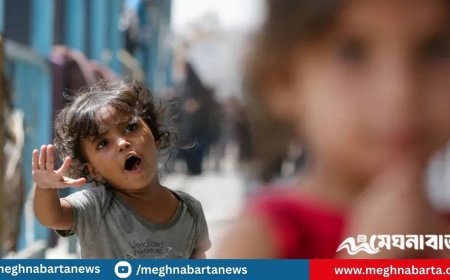 গাজায় ইসরায়েলি হামলায় নিহত প্রায় ১৯ হাজার শিশু