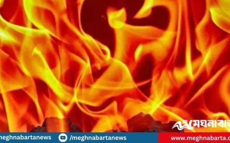 মহাখালীর সাততলা বস্তিতে আগুন, নিয়ন্ত্রণে ফায়ার সার্ভিসের ১১ ইউনিট