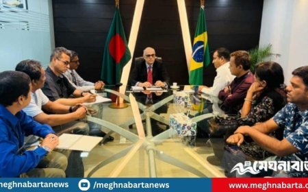 মাংসের হালাল সার্টিফিকেট পেলে গরুর মাংস আমদানি করা হবে ব্রাজিল থেকে