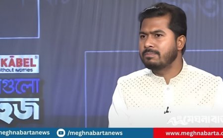 হাসিনা ১৬ বছরে যা করেছে, এরা এক বছরে সেটা করছে : নুরুল হক নুর