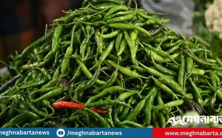 কাঁচামরিচের কেজি ৩০০ টাকা ছাড়াল