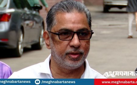 নির্বাচন থেকে সরে দাঁড়ানোর সিদ্ধান্ত মাহবুবুল আনামের