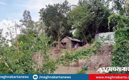 ভাঙন ভাঙন খেলায় দিশেহারা নদীপাড়ের মানুষ
