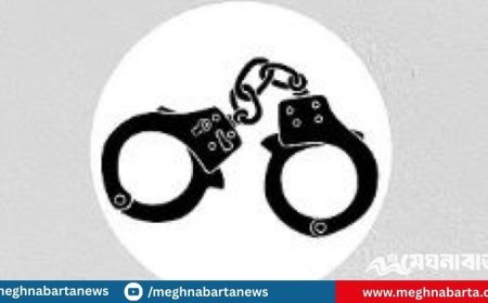 সারা দেশে বিশেষ অভিযানে গ্রেপ্তার ১৭২৭