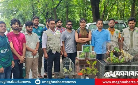 জাহাঙ্গীরনগর বিশ্ববিদ্যালয়ে বিভিন্ন প্রজাতির টিয়া, ঘুঘু ও ভুবনচিল অবমুক্ত