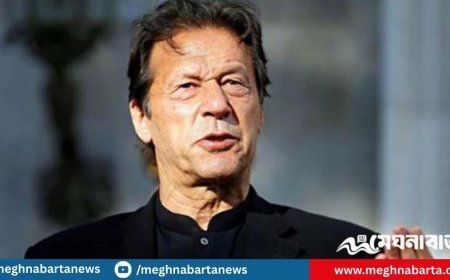 ৮ মামলায় জামিন পেলেন ইমরান খান