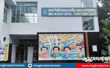 ডাকসুতে সবচেয়ে বেশি প্রার্থী ভিপি পদে, ৪৮ জন প্রতিদ্বন্দ্বী