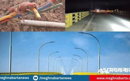উদ্বোধনের পরদিনই বৈদ্যুতিক তার চুরি, অন্ধকারে স্বপ্নের মওলানা ভাসানী সেতু