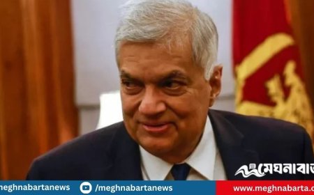 গণ-অভ্যুত্থানের পর শ্রীলঙ্কার ক্ষমতা নেওয়া রনিল গ্রেপ্তার