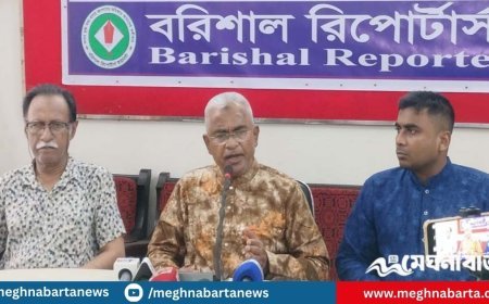 কখন দেশে ফিরতে পারেন তারেক রহমান, জানালেন আলাল