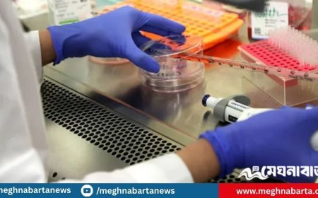 ল্যাবে তৈরি হলো বিশ্বের প্রথম জীবন্ত মানব ত্বক