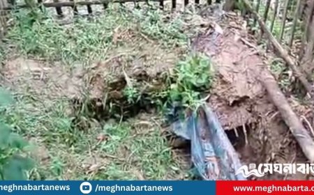 উল্লাপাড়ায় কবর থেকে ৭ কঙ্কাল চুরি