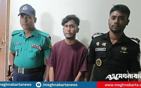 ‘বেশি সময় লাগেনি, ৮-১০ সেকেন্ডে কাজ সেরেছি’