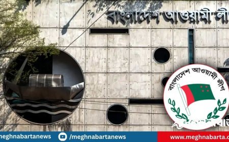 আ’লীগে অর্থ জোগান দিচ্ছেন গাজীপুরের ২৬৭ শিল্পমালিক