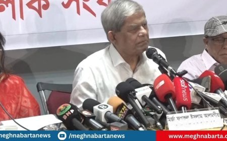 জোড়াতালি দিয়ে পরিবর্তন সম্ভব নয় : মির্জা ফখরুল