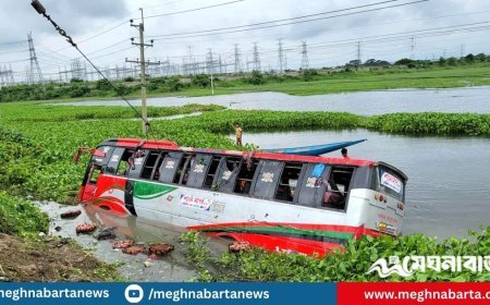 মুকসুদপুরে খাদে বাস পড়ে আহত ৩০