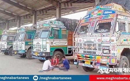 ৪ মাস পর বেনাপোল স্থলবন্দর দিয়ে চাল আমদানি শুরু