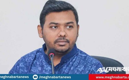 এনসিপির কর্মকাণ্ডে ফিরছেন সারোয়ার তুষার