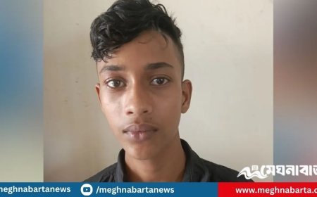 মরদেহ দাফনের পর জীবিত ফিরে এলো রবিউল!