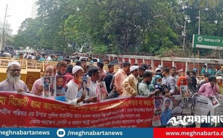ফের জুলাই শহিদ ও আহতদের স্বজনদের বিক্ষোভ
