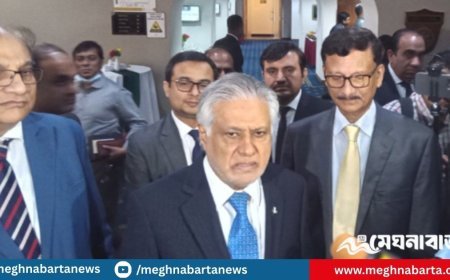 ১৯৭১ সালের অমীমাংসিত ইস্যু দুইবার সমাধান হয়েছে : ইসহাক দার