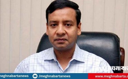 ধোঁয়া ধোঁয়া রাজনীতি, কুয়াশাময় গন্তব্য: গোলাম মাওলা রনি