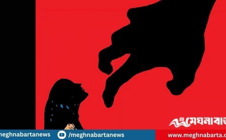 বিয়ের আশ্বাস দিয়ে একাধিকবার ধর্ষণের অভিযোগ, যুবক গ্রেপ্তার