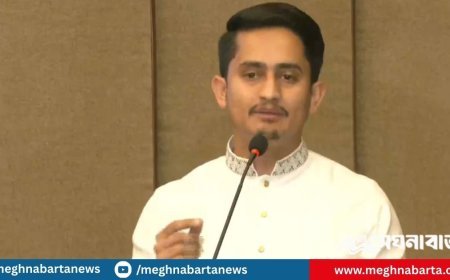 হাসিনা জান নিয়ে পালাতে পারলেও আপনারা পারবেন না: সারজিস