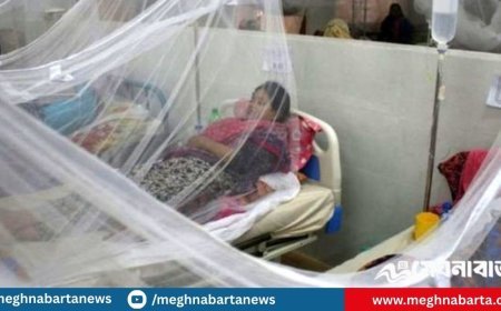 ডেঙ্গুতে আরও ৩ জনের মৃত্যু