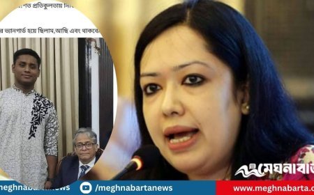 হাসনাত আব্দুল্লাহকে নিয়ে যা বললেন রুমিন ফারহানা