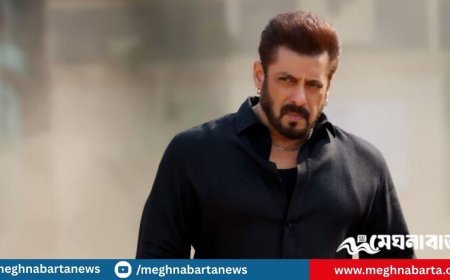 ফের প্রেম ভাঙল সালমানের?