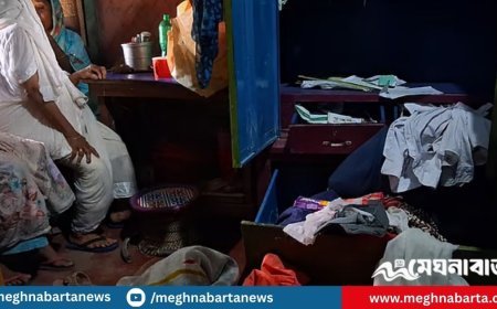 দুই শিশুর গলায় ছুরি ধরে প্রবাসীর বাড়িতে ডাকাতি