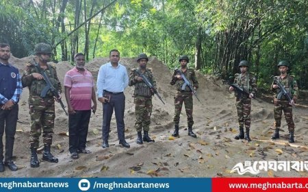 সরকারি ইজারাবিহীন বালুমহালে মোবাইল কোর্টের হানা