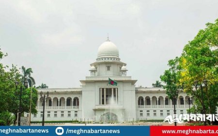 তত্ত্বাবধায়ক বাতিলের রায়ের বিরুদ্ধে আপিলের অনুমতি