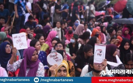 যমুনার সামনে বুয়েট শিক্ষার্থীদের ওপর পুলিশের লাঠিচার্জ, টিয়ার শেল-সাউন্ড গ্রেনেড