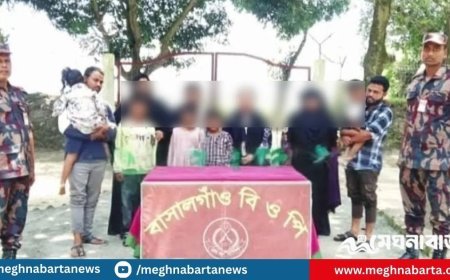 সীমান্তে ১১ বাংলাদেশিকে বিএসএফের পুশইন