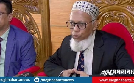 নির্বাচনের রোডম্যাপ অনুমোদন, প্রকাশ শিগগিরই : ইসি মাছউদ