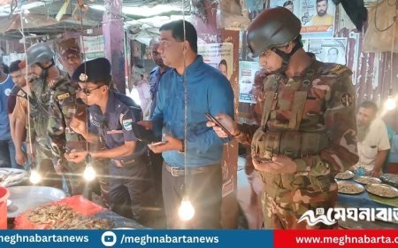 বাজারে চিংড়ির খোলসের ভেতর জেলি, অতঃপর...