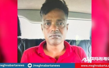 থানা থেকে লুট হওয়া অস্ত্র-গুলিসহ বিএনপি নেতা গ্রেপ্তার