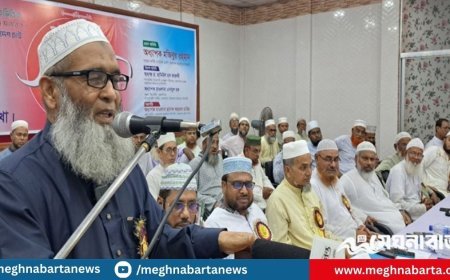 লেভেল প্লেয়িং ফিল্ড হলেই জামায়াত নির্বাচনে যাবে: মজিবুর রহমান