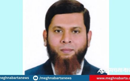 সচিব হিসেবে পদোন্নতি পেয়েছেন বিপিপিএ-এর সিইও